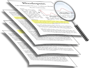 Research Papers Explained